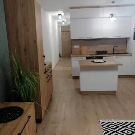 公寓 Honved 巴拉通雷勒